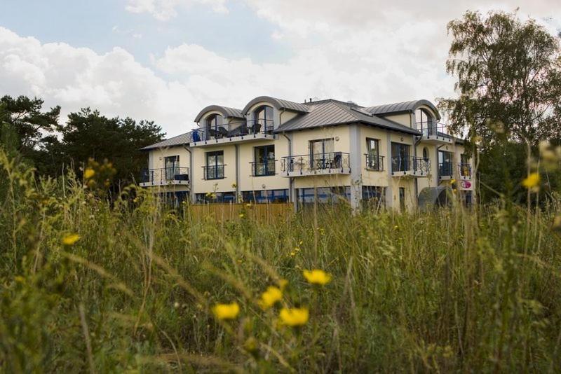 Haus Auf Der Duene Fewo Ostseeblick トラッセンハイデ エクステリア 写真